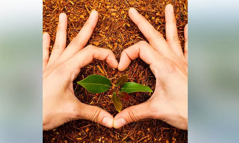 ഒമാനിൽ വൃക്ഷദിനാചരണം 31ന്; സൗജന്യ വൃക്ഷത്തൈകൾ വിതരണം ചെയ്യും ഒമാനിൽ വൃക്ഷദിനാചരണം 31ന്; സൗജന്യ വൃക്ഷത്തൈകൾ വിതരണം ചെയ്യും