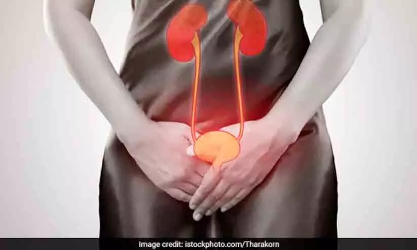 1 In 5 UTIs May Start In The Kitchen, Not Bathroom, Says New Study 1 In 5 UTIs May Start In The Kitchen, Not Bathroom, Says New Study