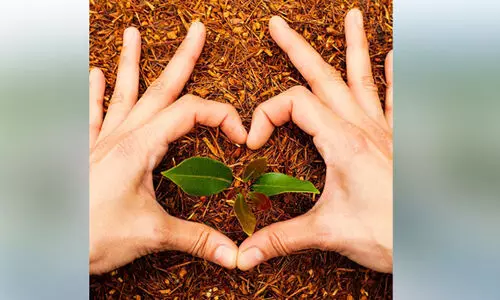 ഒ​മാ​നി​ൽ വൃ​ക്ഷ​ദി​നാ​ച​ര​ണം 31ന്; സൗ​ജ​ന്യ വൃ​ക്ഷ​ത്തൈ​ക​ൾ വി​ത​ര​ണം ചെ​യ്യും