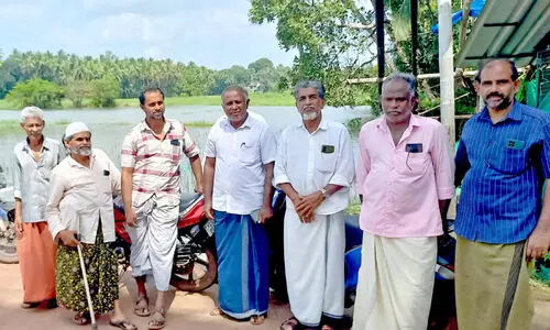 തി​രു​നാ​വാ​യ, വാ​വൂ​ർ പാ​ട​ശേ​ഖ​ര​ങ്ങ​ളി​ലെ വെ​ള്ള​ക്കെ​ട്ടി​ന് പ​രി​ഹാ​ര​മാ​യി​ല്ല; കൃ​ഷി ഉ​പേ​ക്ഷി​ക്കാ​നൊ​രു​ങ്ങി ക​ർ​ഷ​ക​ർ
