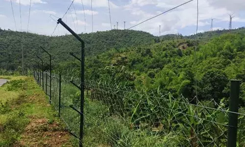 സോളാ‌ർ ഫെൻസിങ്ങുകൾ തകരാറിലായാൽ ഇനി വനം വകുപ്പ് ജീവനക്കാർ തന്നെ നന്നാക്കും