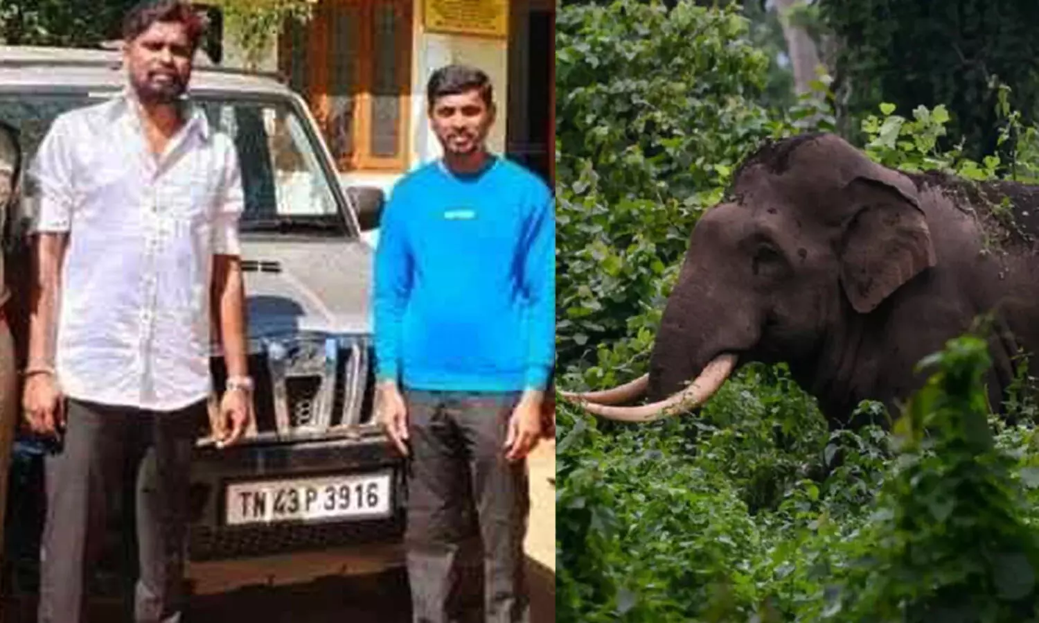 ചാലക്കുടി-മലക്കപ്പാറ റോഡിൽ കാട്ടാനയുടെ നേർക്ക് വാഹനം ഓടിച്ചുകയറ്റി പ്രകോപിപ്പിക്കാൻ ശ്രമിച്ചവർ പിടിയിൽ