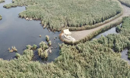 ന​വം​ബ​ർ ഒ​മ്പ​തു മു​ത​ൽ പ്ര​വേ​ശ​നം ജ​ഹ്‌​റ നേ​ച്ച​ർ റി​സ​ർ​വ് സ​ന്ദ​ർ​ശി​ക്കാം