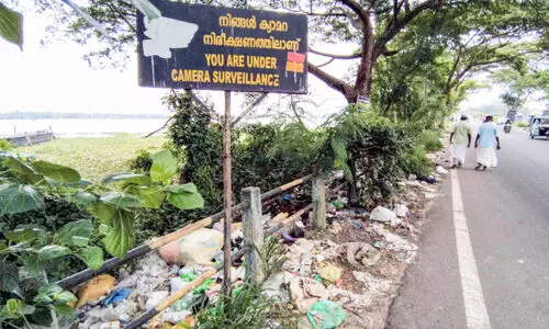ക്യാമറ ഇല്ല, ബോർഡ് മാത്രം; ഇടക്കൊച്ചി പാലം കവാടത്തിൽ മാലിന്യം നിറയുന്നു