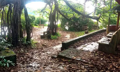 മലബാർ-മലനാട് റിവർ ക്രൂസ് ടൂറിസം ; കാണൂ... മലപ്പട്ടത്തെ നഷ്ടക്കാഴ്ചകൾ മലബാർ-മലനാട് റിവർ ക്രൂസ് ടൂറിസം ; കാണൂ... മലപ്പട്ടത്തെ നഷ്ടക്കാഴ്ചകൾ