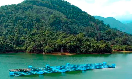 കടൽ കടന്ന്​ കരിമീനും വരാലും;  ആഗോള ശ്രദ്ധയിൽ നെയ്യാർ ജല സംഭരണിയിലെ മത്സ്യകൃഷി