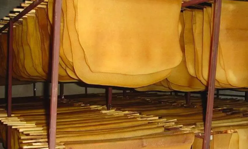 റബർ താങ്ങുവില; പ്രതീക്ഷിച്ചതിലും കുറവെങ്കിലും ആശ്വാസമെന്ന് കർഷകർ റബർ താങ്ങുവില; പ്രതീക്ഷിച്ചതിലും കുറവെങ്കിലും ആശ്വാസമെന്ന് കർഷകർ