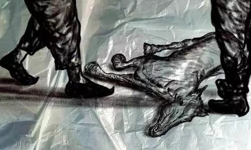 ഞാൻ ഔറംഗസേബ് ഞാൻ ഔറംഗസേബ്