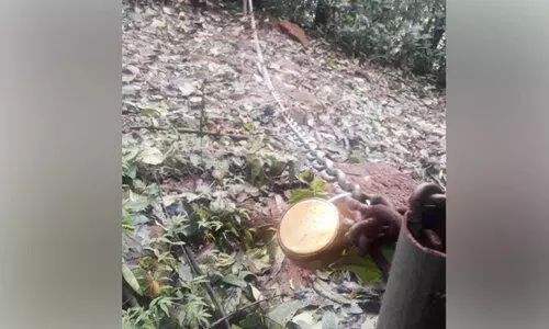 വനംവകുപ്പ്​ തടസ്സം; കുരുങ്ങി റോഡുകള്‍