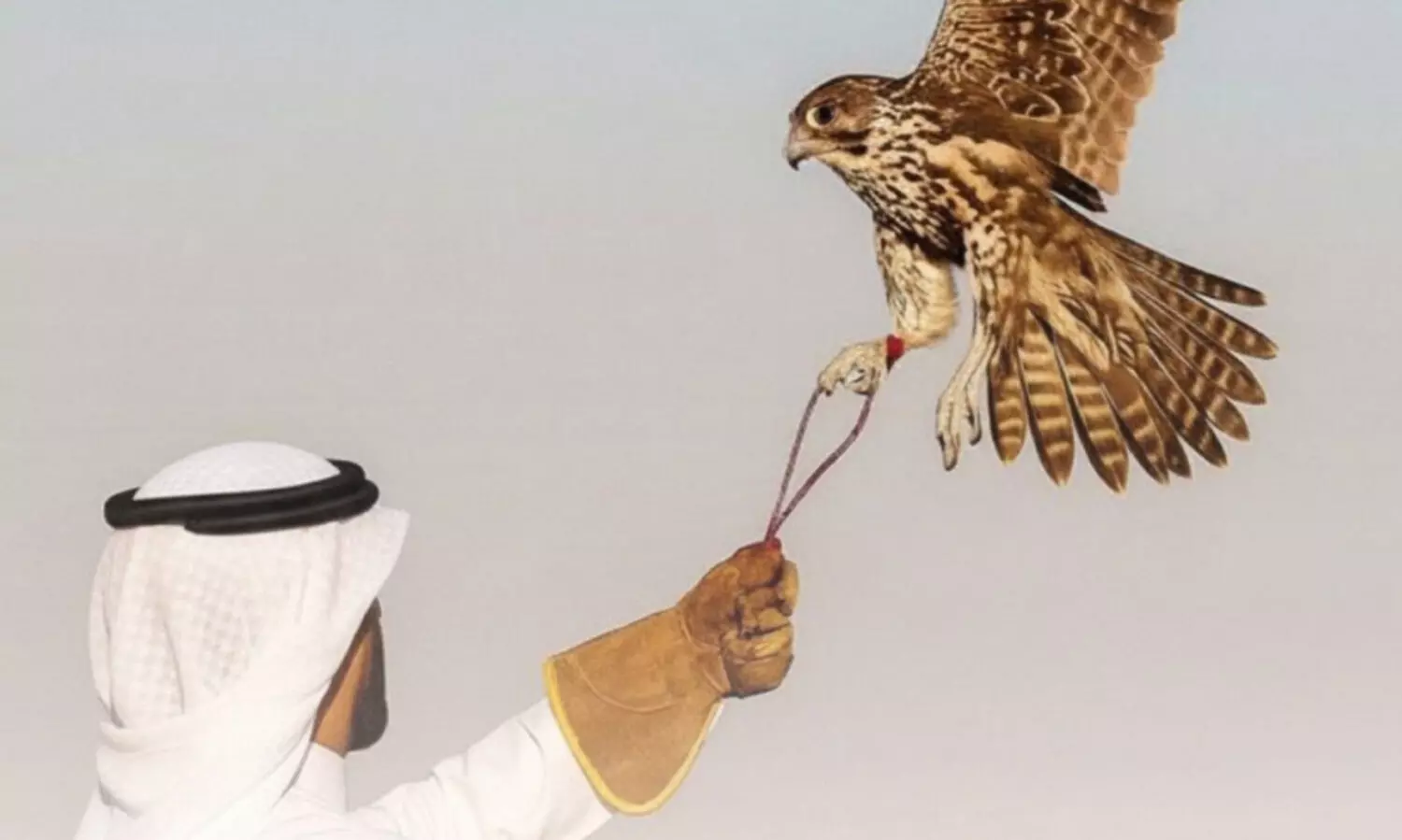 പ്ര​കൃ​തി സം​ര​ക്ഷ​ണ കേ​ന്ദ്ര​ങ്ങ​ളി​ലെ വേ​ട്ട​യാ​ട​ലി​ൽ ക​ർ​ശ​ന ന​ട​പ​ടി