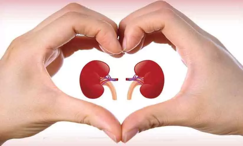 നിങ്ങളുടെ വൃക്കകളെ തകരാറിലാക്കുന്ന അഞ്ച് പ്രഭാത രീതികൾ