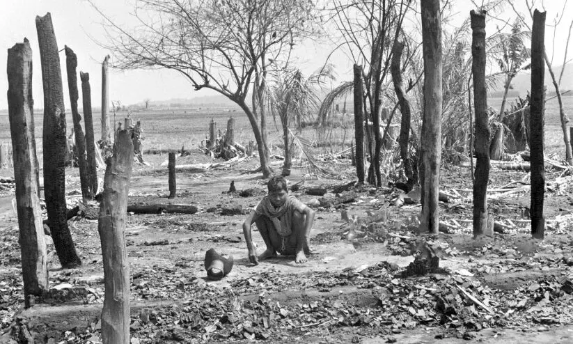 നെല്ലിയുടെ മുറിവുകളെ കുത്തിനോവിക്കണോ? നെല്ലിയുടെ മുറിവുകളെ കുത്തിനോവിക്കണോ?