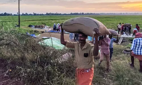 കുട്ടനാട്ടിൽ നെല്ല് സംഭരണം തുടങ്ങി കുട്ടനാട്ടിൽ നെല്ല് സംഭരണം തുടങ്ങി