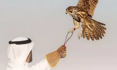 പ്ര​കൃ​തി സം​ര​ക്ഷ​ണ കേ​ന്ദ്ര​ങ്ങ​ളി​ലെ വേ​ട്ട​യാ​ട​ലി​ൽ ക​ർ​ശ​ന ന​ട​പ​ടി