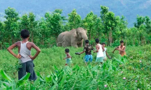 വ​ന്യ​മൃ​ഗ ശ​ല്യം; പ്ര​തി​രോ​ധ സേ​ന​ക്ക് രൂ​പം ന​ൽ​കി അ​തി​ര​പ്പി​ള്ളി പ​ഞ്ചാ​യ​ത്ത്