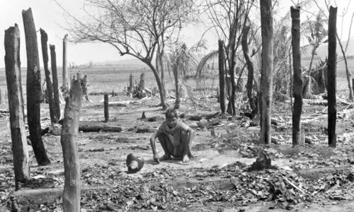 നെല്ലിയുടെ മുറിവുകളെ കുത്തിനോവിക്കണോ?