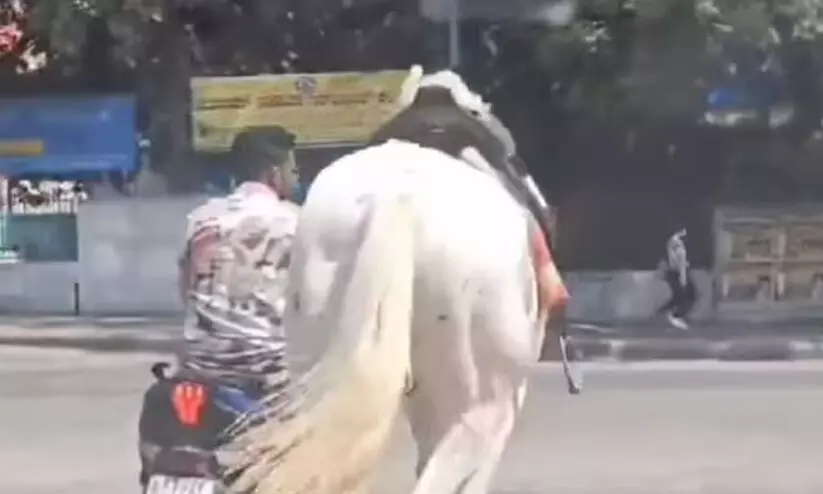 ബൈക്കിൽ കുതിരയെ കെട്ടി തിരക്കേറിയ റോഡിലൂടെ ഓടിച്ച് യുവാവിന്‍റെ ക്രൂരത; വിഡി‍യോ