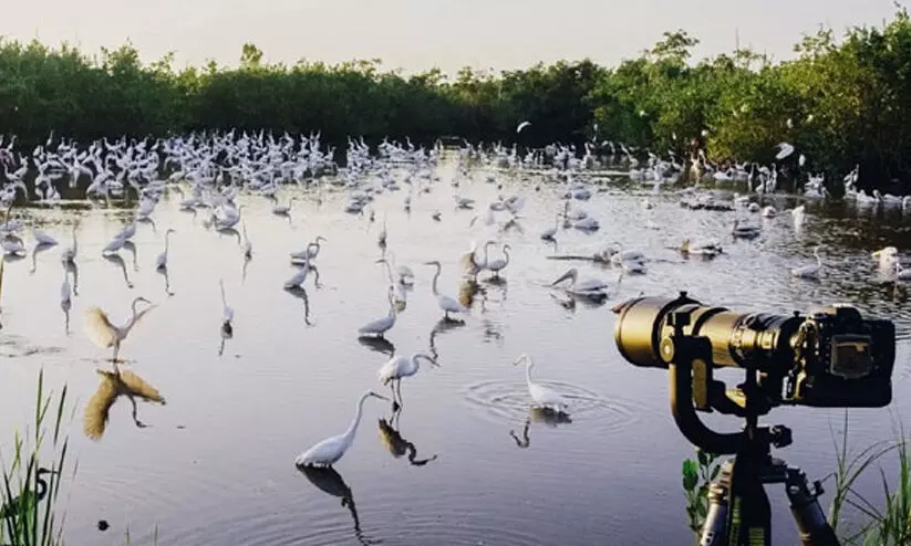 ടൂറിസം സങ്കൽപ്പങ്ങൾ മാറുന്നു; പക്ഷി നിരീക്ഷണത്തിന് വിമാനം കയറുന്നവരുടെ എണ്ണം വർധിച്ചു; കൊച്ചിയും കോയമ്പത്തൂരും പട്ടികയിൽ ടൂറിസം സങ്കൽപ്പങ്ങൾ മാറുന്നു; പക്ഷി നിരീക്ഷണത്തിന് വിമാനം കയറുന്നവരുടെ എണ്ണം വർധിച്ചു; കൊച്ചിയും കോയമ്പത്തൂരും പട്ടികയിൽ