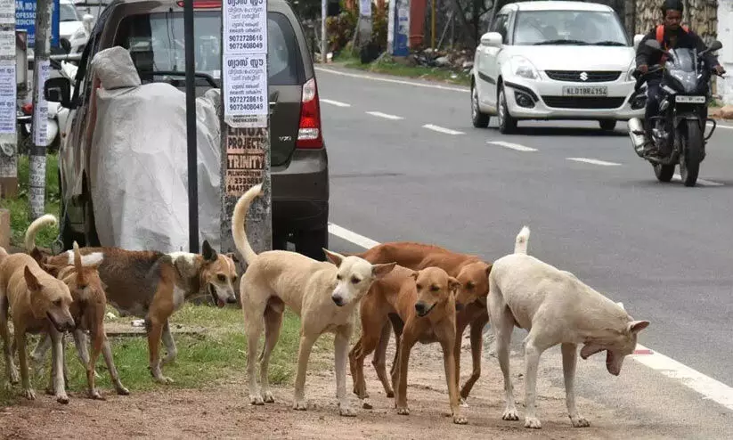 തെരുവുനായ് ആക്രമണം; ആറുപേർക്ക് കടിയേറ്റു