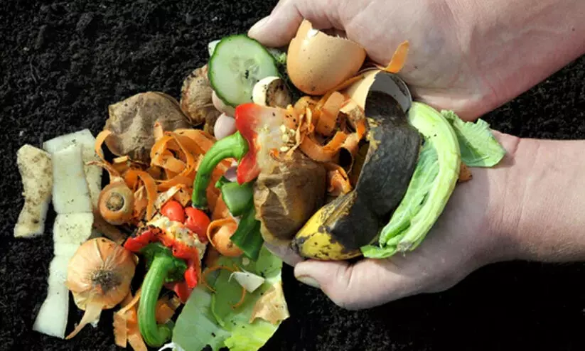 അടുക്കള വേസ്റ്റിൽ കമ്പോസ്റ്റ് അഴുകാൻ സമയം എടുക്കുന്നുണ്ടോ? എങ്കിൽ ഇങ്ങനെ ചെയ്താൽ മതി അടുക്കള വേസ്റ്റിൽ കമ്പോസ്റ്റ് അഴുകാൻ സമയം എടുക്കുന്നുണ്ടോ? എങ്കിൽ ഇങ്ങനെ ചെയ്താൽ മതി