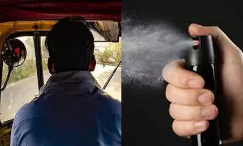 ഓട്ടോയിൽ കയറിയ വീട്ടമ്മയെ പെപ്പർ സ്പ്രേ അടിച്ച് മാലപൊട്ടിക്കാൻ ശ്രമം; ഡ്രൈവർ അടക്കം രണ്ടുപേർ അറസ്റ്റിൽ ഓട്ടോയിൽ കയറിയ വീട്ടമ്മയെ പെപ്പർ സ്പ്രേ അടിച്ച് മാലപൊട്ടിക്കാൻ ശ്രമം; ഡ്രൈവർ അടക്കം രണ്ടുപേർ അറസ്റ്റിൽ
