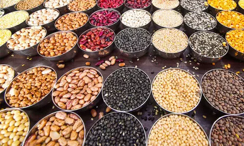 genome-edited pulses