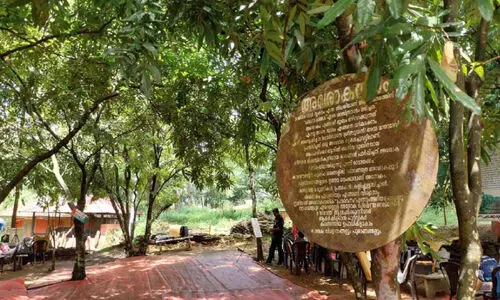 ചുട്ടുപൊള്ളുന്ന വെയിലിൽ കുളിരേകി അശോകവനം