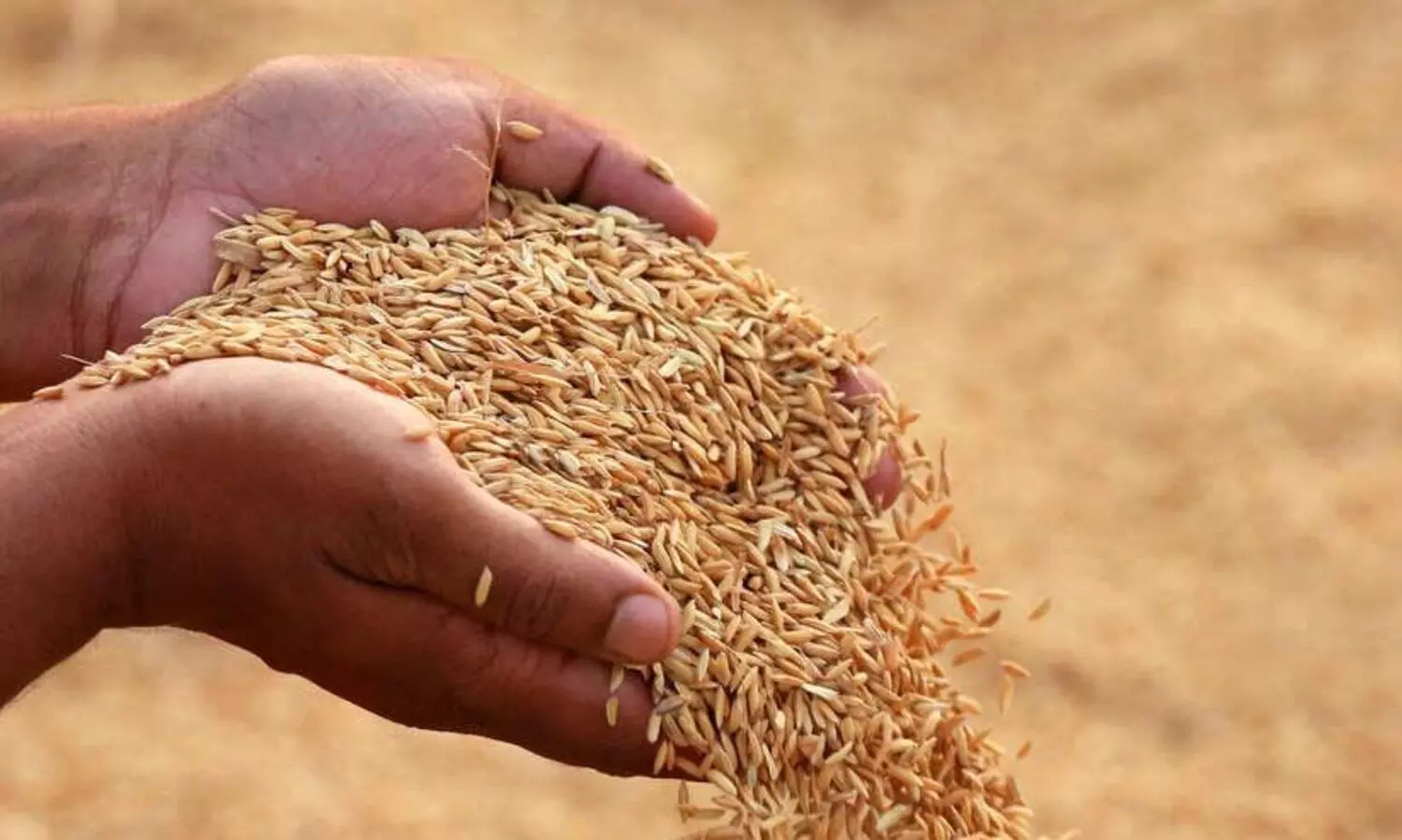 നെല്ല് സംഭരണം: പ്രത്യേക മന്ത്രിതല യോഗം; മില്ലുടമകളുടേത് ഗൂഢ രാഷ്ട്രീയ ചിന്തയെന്ന് ഭക്ഷ്യമന്ത്രി