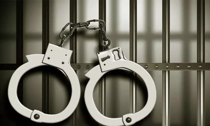 വൈദ്യുതാഘാതമേറ്റ് രണ്ട് ആനകൾ ചെരിഞ്ഞു; ഭൂ ഉടമ അറസ്റ്റിൽ