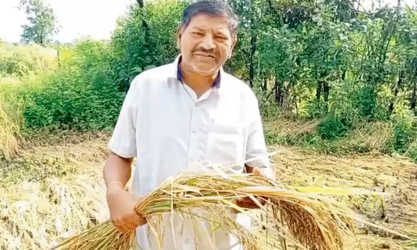 നശിച്ചത് ഒന്നര ലക്ഷത്തിന്റെ കൃഷി; നഷ്ടപരിഹാരം ലഭിച്ചത് 2 രൂപ 30 പൈസ!