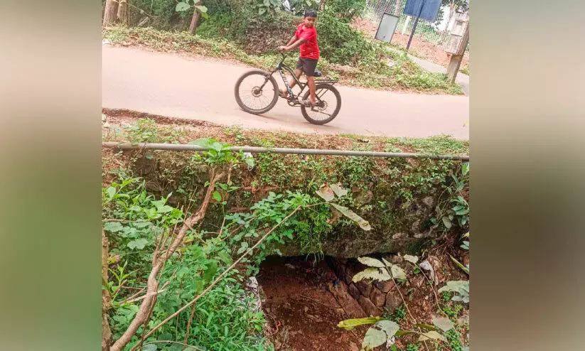 പാലത്തിന് കൈവരിയില്ല; ദുരന്തം കൈയെത്തും ദൂരെ