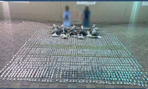 മ​യ​ക്കു​മ​രു​ന്നു​മാ​യി ര​ണ്ട് ഏ​ഷ്യ​ൻ ​വം​ശ​ജ​ർ പി​ടി​യി​ൽ