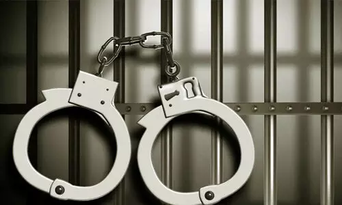 വൈദ്യുതാഘാതമേറ്റ് രണ്ട് ആനകൾ ചെരിഞ്ഞു; ഭൂ ഉടമ അറസ്റ്റിൽ