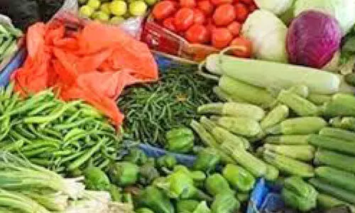 ഉള്ളി, തക്കാളി, കാരറ്റ്, കക്കരി പച്ചക്കറികൾ ഇറക്കുമതിക്ക് മുൻകൂർ രജിസ്ട്രേഷൻനിർബന്ധമാക്കി ഒമാൻ ഉള്ളി, തക്കാളി, കാരറ്റ്, കക്കരി പച്ചക്കറികൾ ഇറക്കുമതിക്ക് മുൻകൂർ രജിസ്ട്രേഷൻനിർബന്ധമാക്കി ഒമാൻ