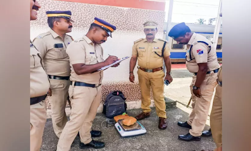 ആലപ്പുഴയിൽ ഒരാഴ്ചക്കിടെ പിടികൂടിയത് 11.5 കിലോ കഞ്ചാവ്