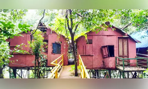 അടവി മുളംകുടിലുകൾ നാശത്തിന്‍റെ വക്കിൽ