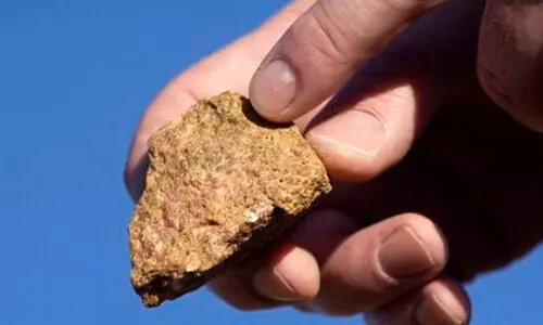 അപൂർവ ധാതുക്കൾക്ക് ബദൽ കണ്ടെത്താമോ? കോടികളുടെ ഓഫറുമായി സർക്കാർ