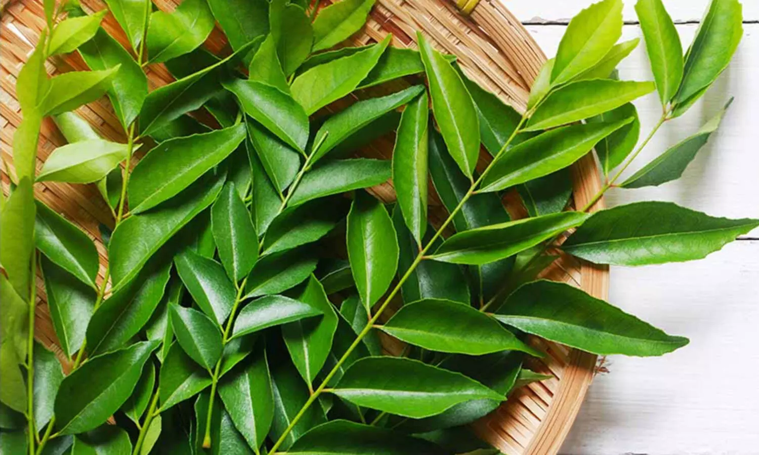 വലിച്ചെറിയേണ്ട ഒന്നല്ല കറിവേപ്പില; ഗുണങ്ങൾ പലതുണ്ട്...