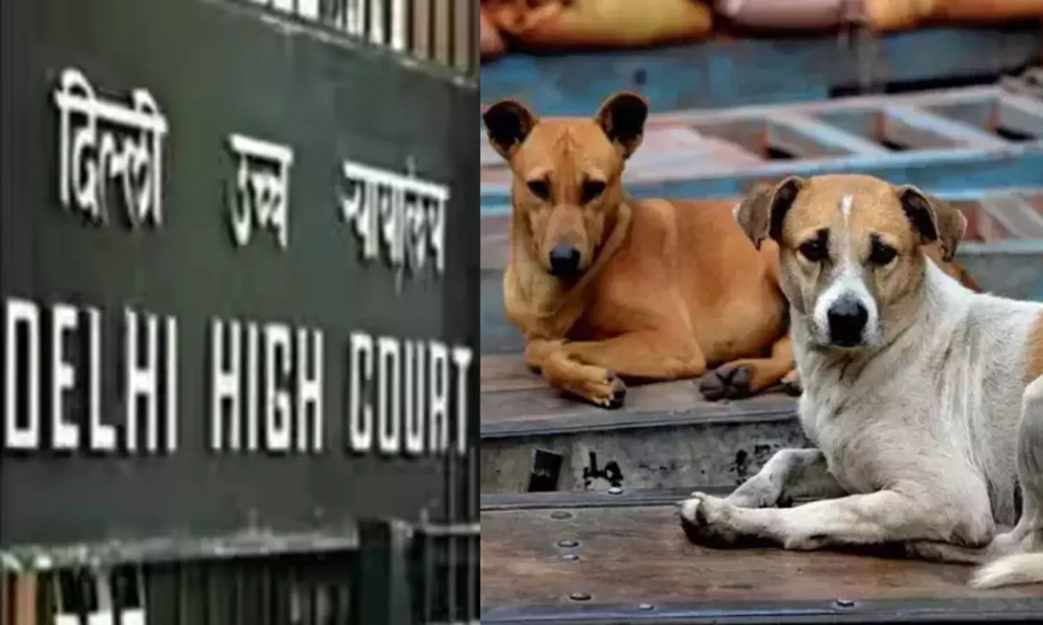 Delhi High Court
