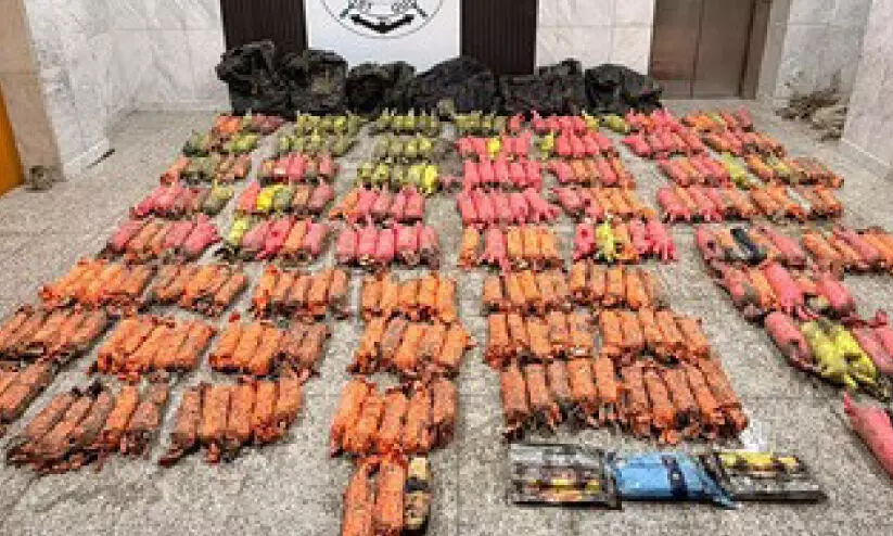 ശക്തമായ പരിശോധന തുടരും; കടൽ വഴി എത്തിക്കാൻ ശ്രമിച്ച ലഹരി വസ്തുക്കൾ പിടികൂടി ശക്തമായ പരിശോധന തുടരും; കടൽ വഴി എത്തിക്കാൻ ശ്രമിച്ച ലഹരി വസ്തുക്കൾ പിടികൂടി