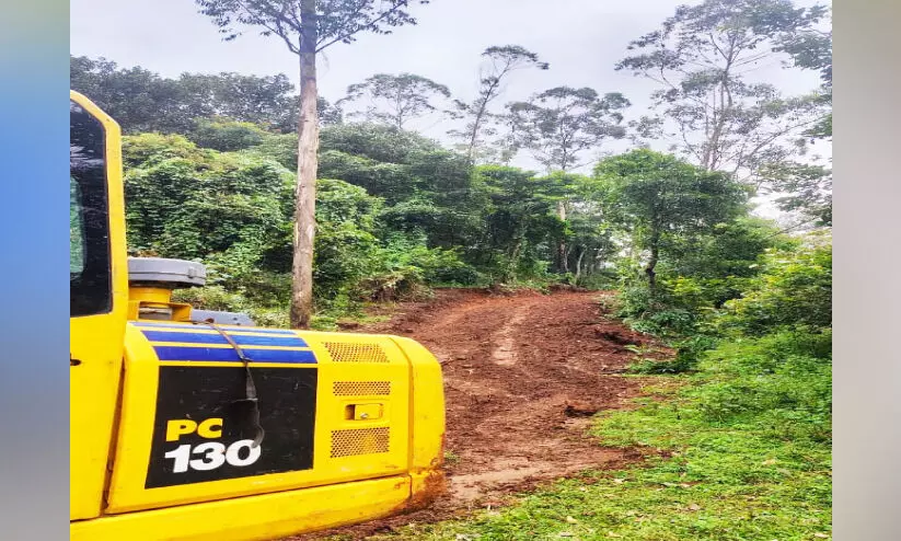 ഫെൻസിങ് നിർമാണം; വനത്തിൽ നിന്ന് ഇരുന്നൂറോളം മരങ്ങൾ മുറിച്ചുനീക്കി ഫെൻസിങ് നിർമാണം; വനത്തിൽ നിന്ന് ഇരുന്നൂറോളം മരങ്ങൾ മുറിച്ചുനീക്കി