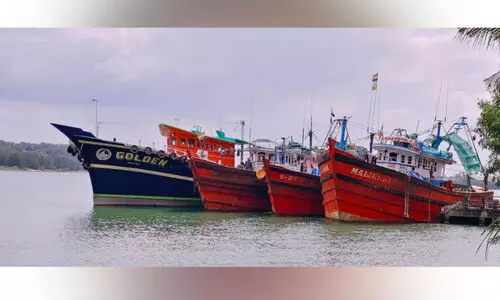 അ​ന​ധി​കൃ​ത മ​ത്സ്യ​ബ​ന്ധ​നം: ബോ​ട്ടു​ക​ൾ പി​ടി​കൂ​ടി 7.5 ല​ക്ഷം പി​ഴ​യീ​ടാ​ക്കി