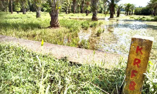 പന്തളം ബൈപാസ്​: സർവേ നടപടികൾ പുനരാരംഭിച്ചു