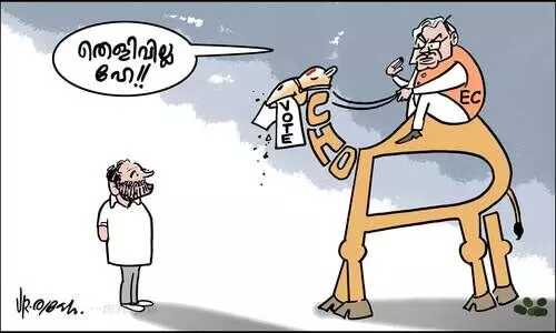 തെളിവില്ല ഹേ!