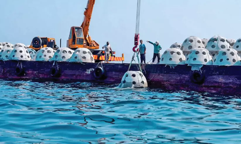 മത്സ്യസമ്പത്ത് കൂട്ടാൻ കൃത്രിമ പവിഴപ്പുറ്റുകൾ മത്സ്യസമ്പത്ത് കൂട്ടാൻ കൃത്രിമ പവിഴപ്പുറ്റുകൾ