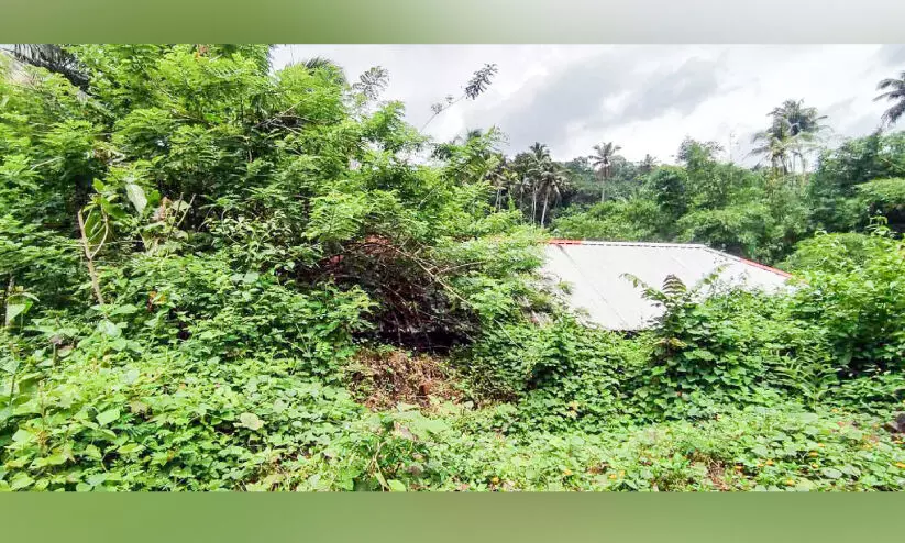 ഒരു തീർഥാടന കാലംകൂടി; തീർഥാടക വിശ്രമകേന്ദ്രം പണിതിട്ട് പത്താണ്ട്, ഇനിയും തുറക്കാതെ അധികൃതർ