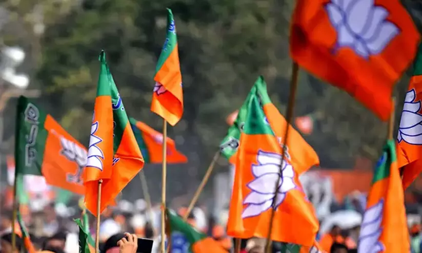 BJP flag BJP flag
