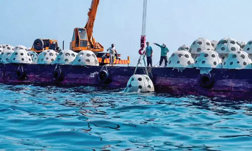 മ​ത്സ്യ​സ​മ്പ​ത്ത്​ കൂ​ട്ടാ​ൻ കൃ​ത്രി​മ പ​വി​ഴ​പ്പു​റ്റു​ക​ൾ