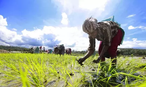 കർഷക പുരസ്കാരങ്ങൾക്ക് അപേക്ഷ ക്ഷണിച്ചു കർഷക പുരസ്കാരങ്ങൾക്ക് അപേക്ഷ ക്ഷണിച്ചു