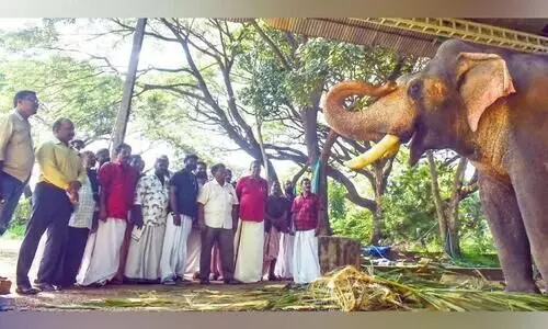 ആനയോളം ആശങ്കകൾ; പാപ്പാൻമാരുടെ ജീവിതം പറഞ്ഞ് ശിൽപശാല